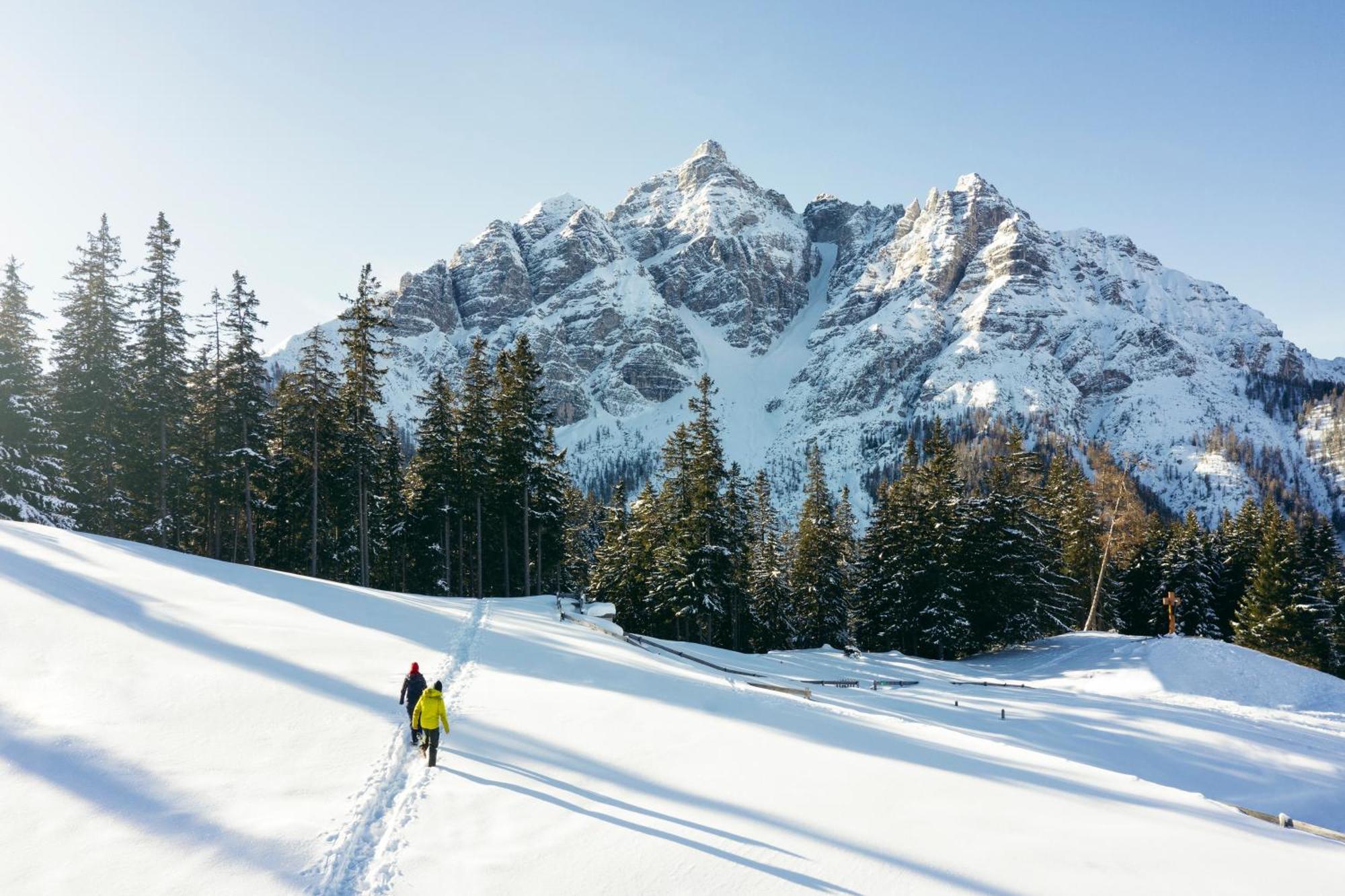 Stoanmandl Wohlfuehlappartements Neustift im Stubaital Luaran gambar