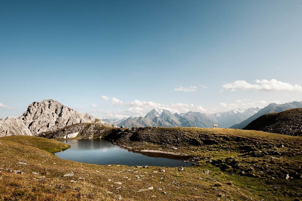 Stoanmandl Wohlfuehlappartements Neustift im Stubaital Luaran gambar